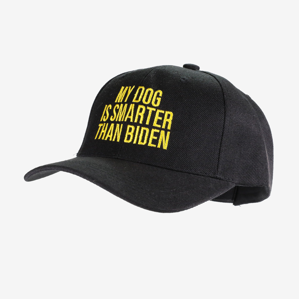 My Dog Is Smarter Than Biden Hat