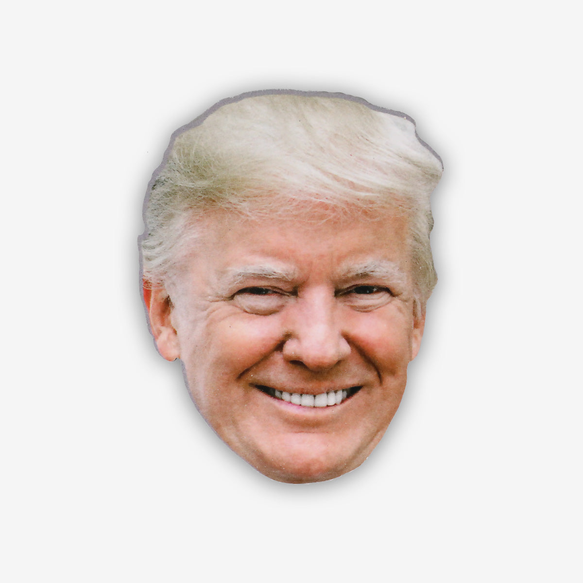Donald Trump Face Portrait Magnet