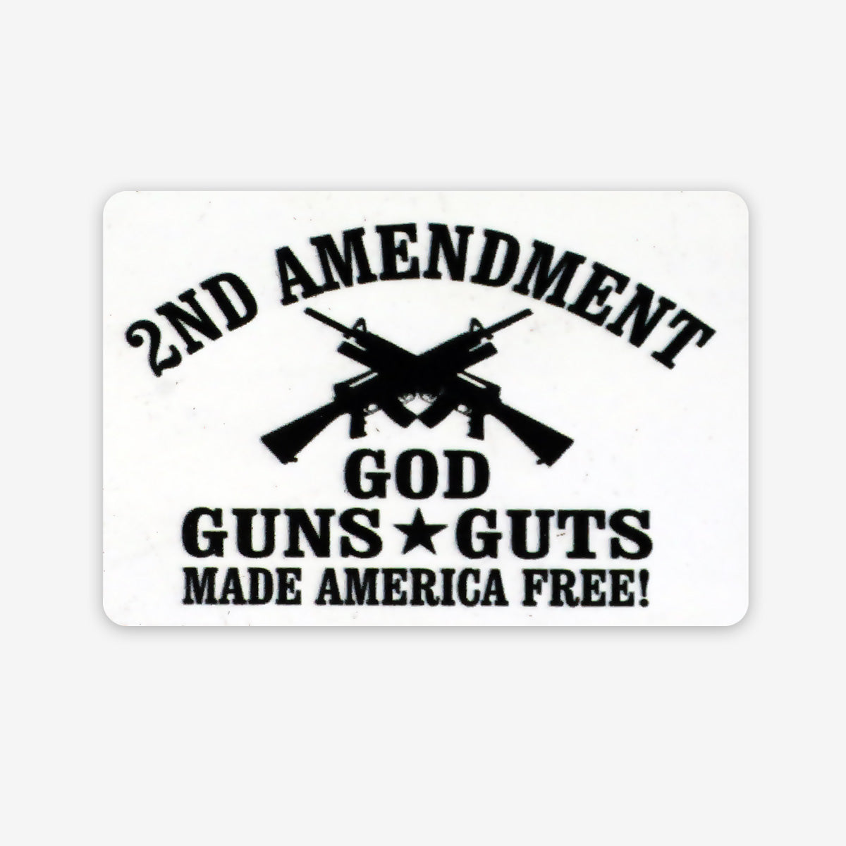 2nd Amendment God, Guns and Guts Magnet